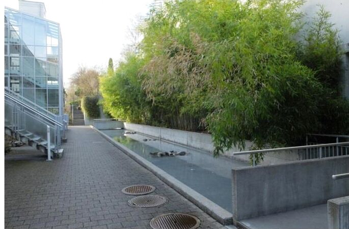 Gartenweg der Siedlung